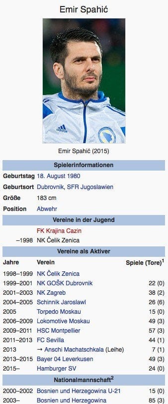 Emir Spahic / Screenshot Wikipedia